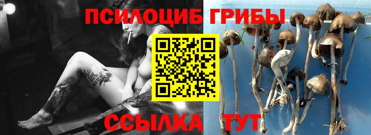 Псилоцибиновые грибы ЛСД Кулебаки