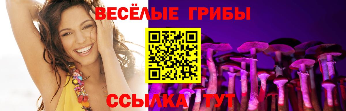 Галлюциногенные грибы мухоморы  Вход с VPN  Псилоцибиновые грибы GOLDEN TEACHER  Кулебаки 